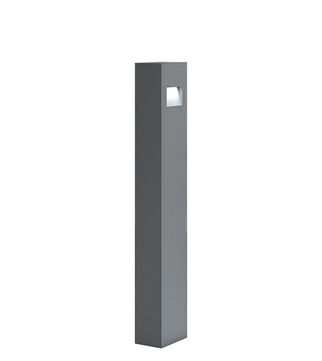 Cyrus Bollard